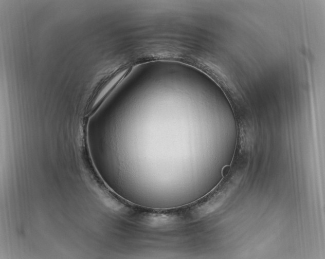 X0000110910453200906181346