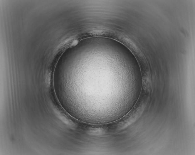 X0000110910454200906181346