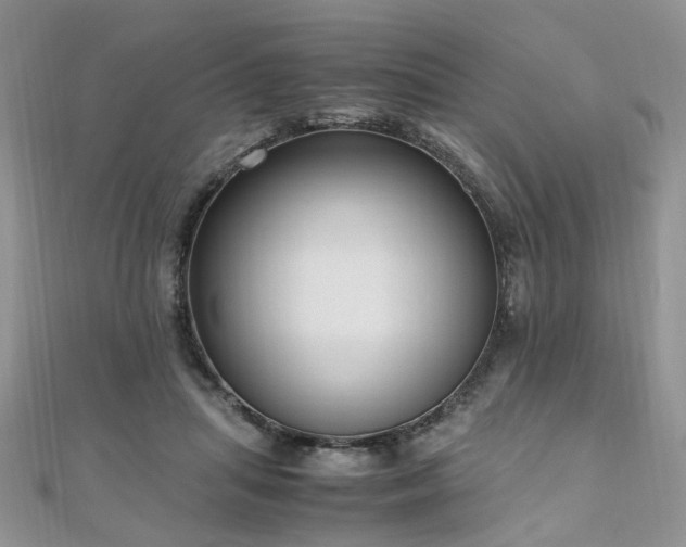 X0000110910455200906181346