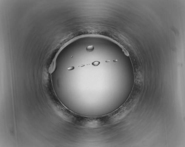 X0000110910456200906181346