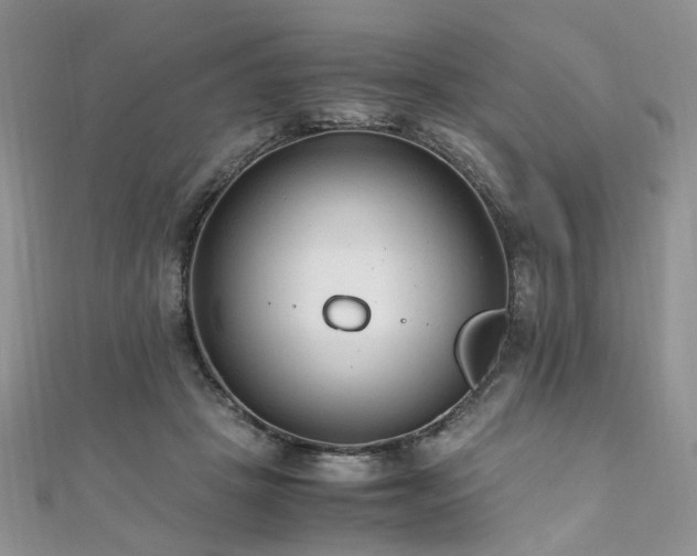 X0000110910457200906181346