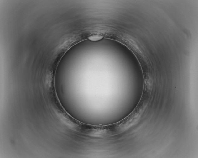 X0000110910458200906181346