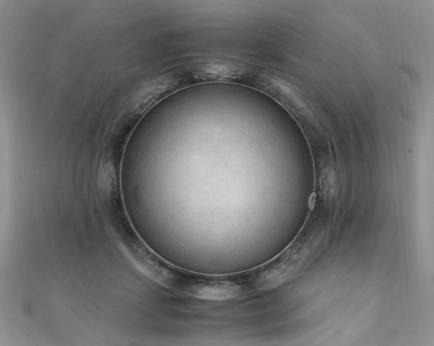 X0000110910459200906181346