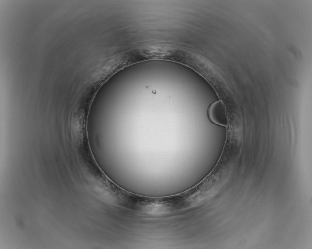 X0000110910460200906181346