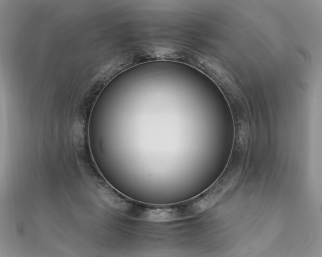 X0000110910461200906181346