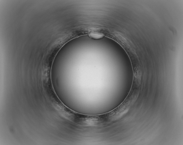 X0000110910462200906181346