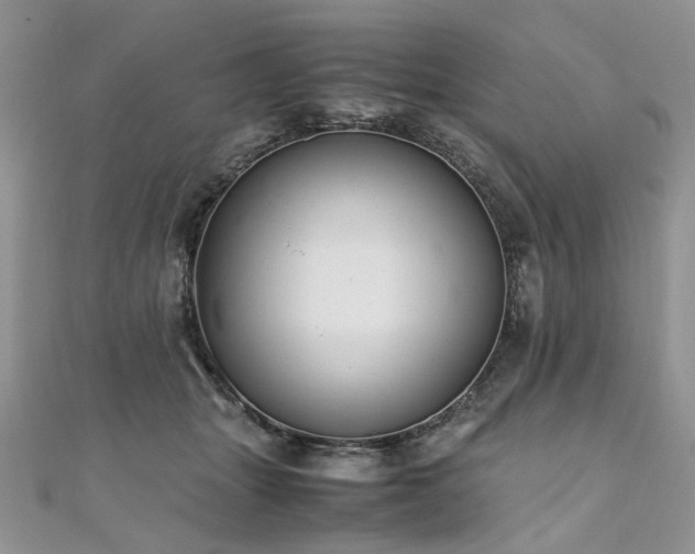 X0000110910463200906181346