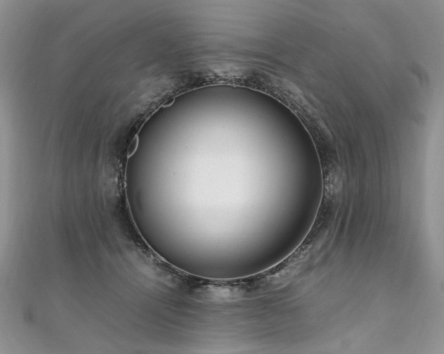 X0000110910464200906181347