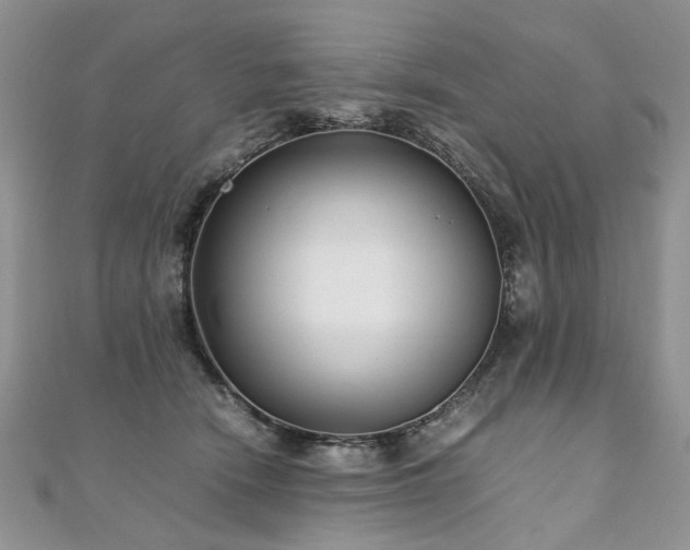 X0000110910466200906181347