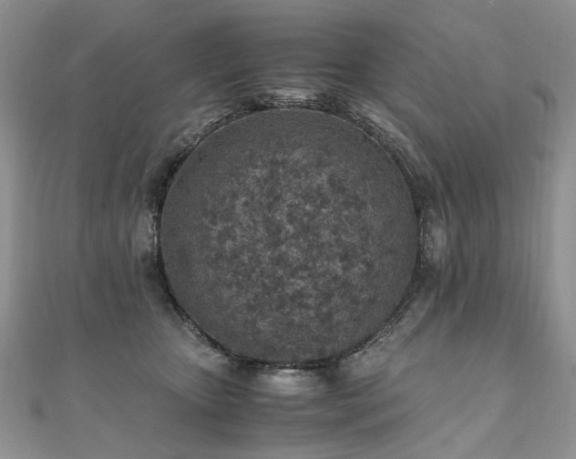 X0000110910467200906181347