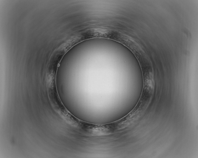 X0000110910468200906181347