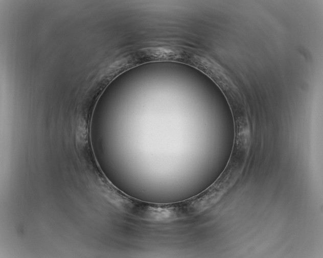 X0000110910469200906181347