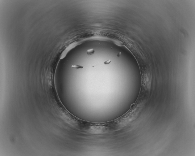 X0000110910470200906181347