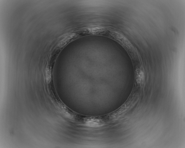 X0000110910471200906181347