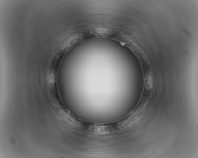 X0000110910472200906181347