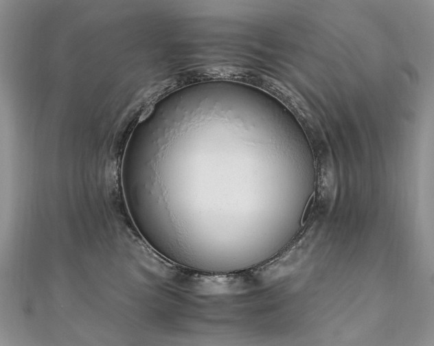 X0000110910473200906181347