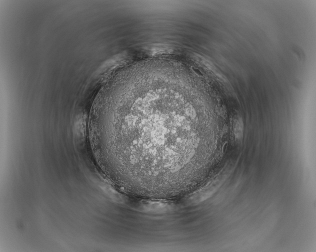 X0000110910475200906181347