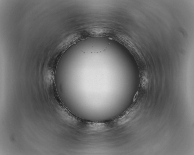 X0000110910476200906181347