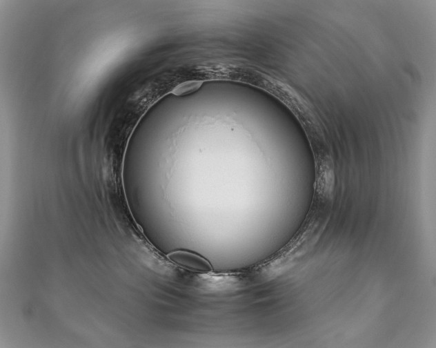 X0000110910477200906181347