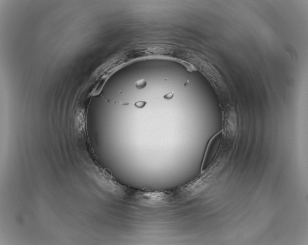 X0000110910478200906181347