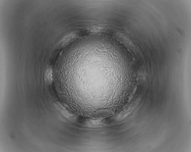 X0000110910479200906181347