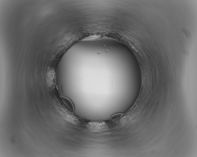 X0000110910480200906181347