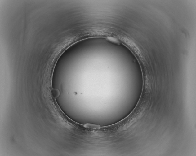 X0000110910481200906181346