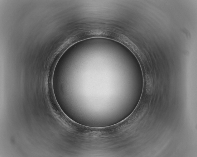 X0000110910482200906181346