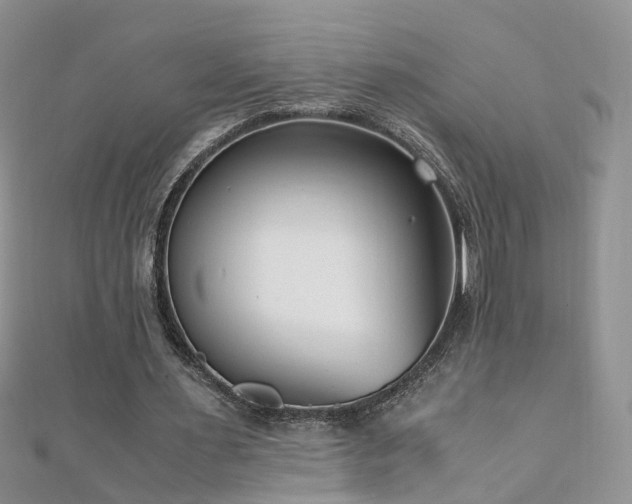 X0000110910483200906181346