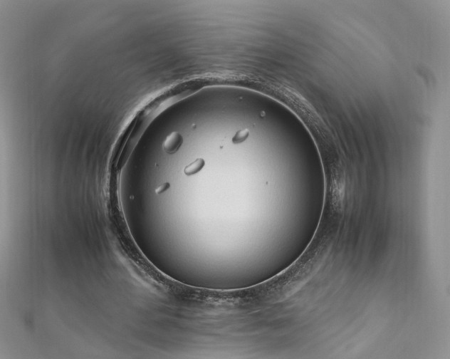 X0000110910484200906181346