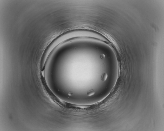 X0000110910485200906181346