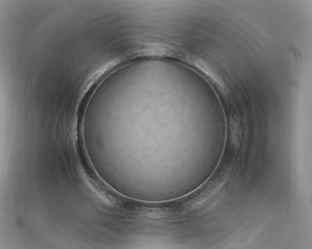 X0000110910486200906181346