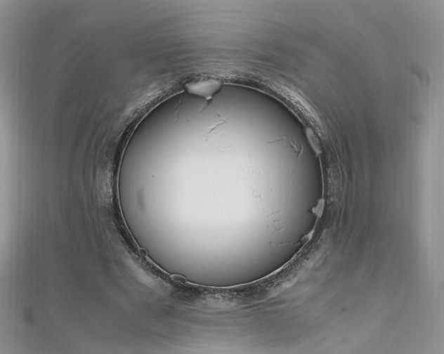 X0000110910489200906181346