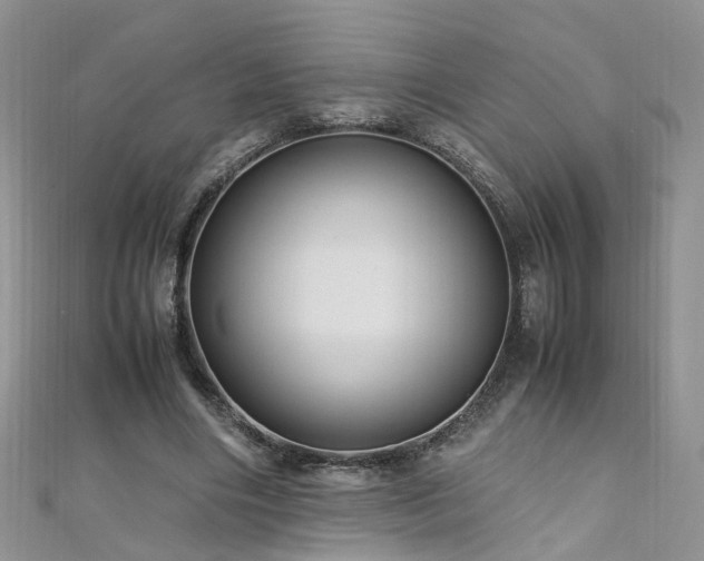 X0000110910490200906181346