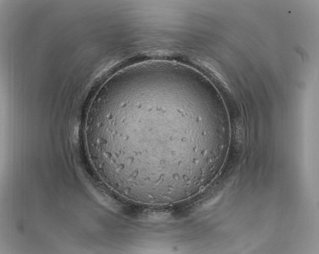 X0000110910491200906181346