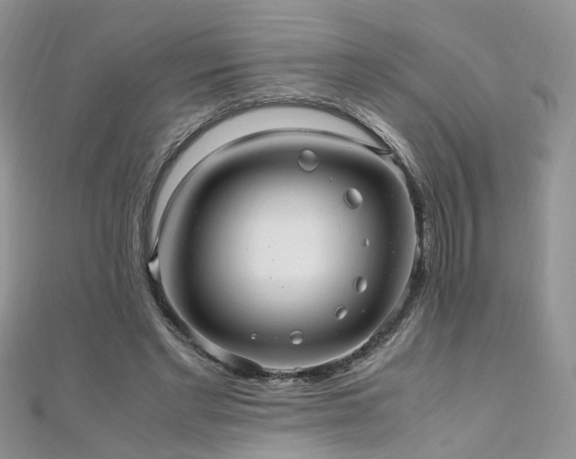 X0000110910493200906181346