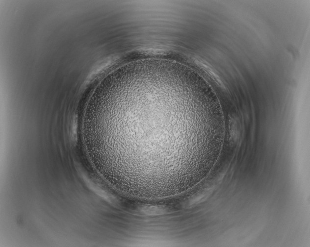 X0000110910494200906181346