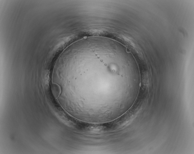 X0000110910495200906181346