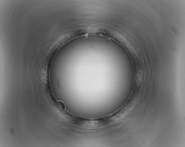 X0000110910497200906181346