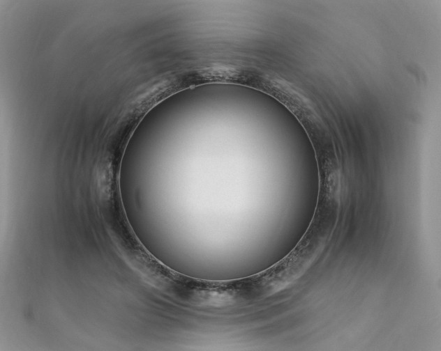 X0000110910498200906181346