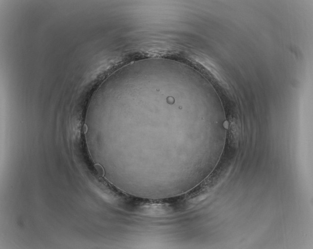 X0000110910499200906181346