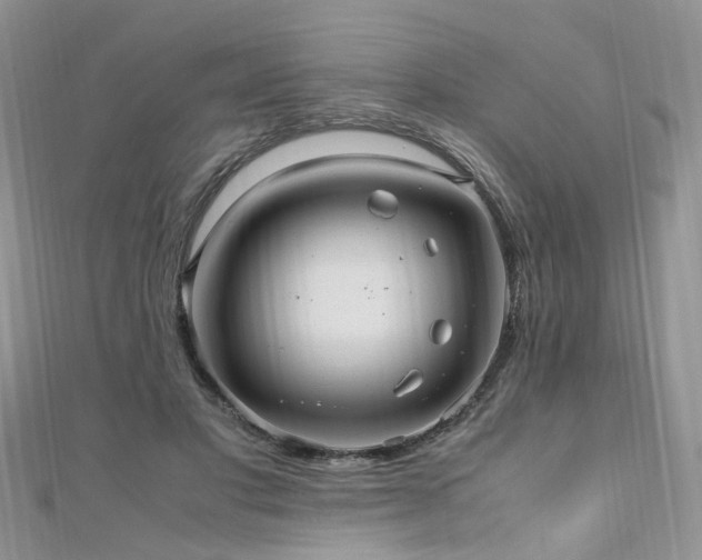 X0000110910501200906181346