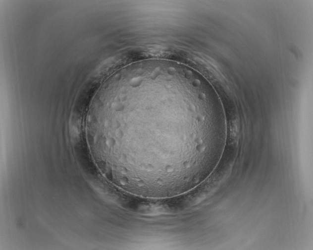 X0000110910503200906181346