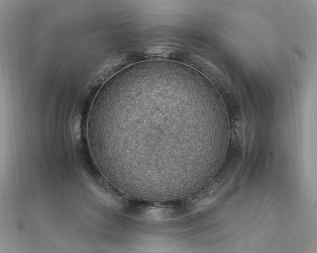 X0000110910504200906181346