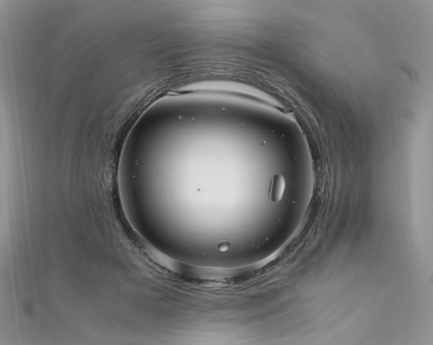 X0000110910505200906181346