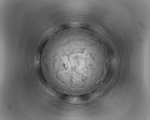 X0000110910507200906181346