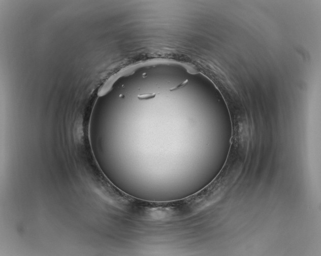 X0000110910508200906181346