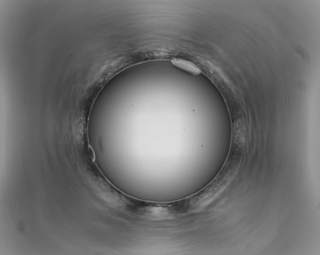 X0000110910509200906181346