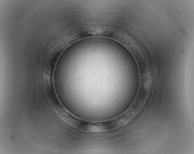 X0000110910510200906181346