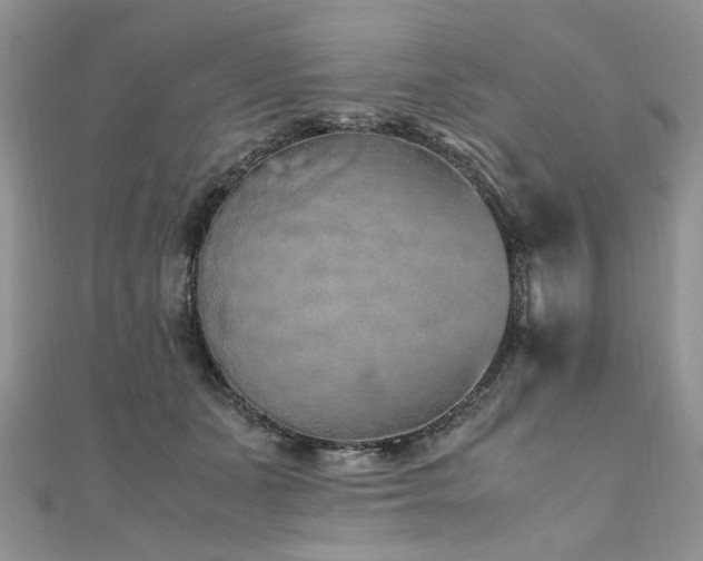 X0000110910511200906181346